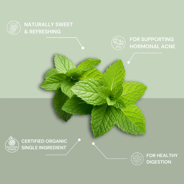 Planet Organic Spearmint 25tbags