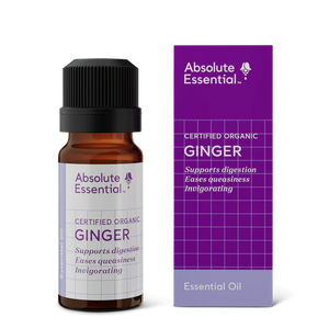 Absolute Essential Oil Ginger
