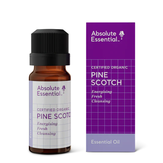 Absolute Essential Oil Pine Scotch