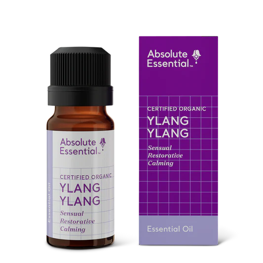 Absolute Essential Oil Ylang Ylang
