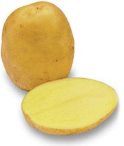 Vegetables - Potatoes Agria
