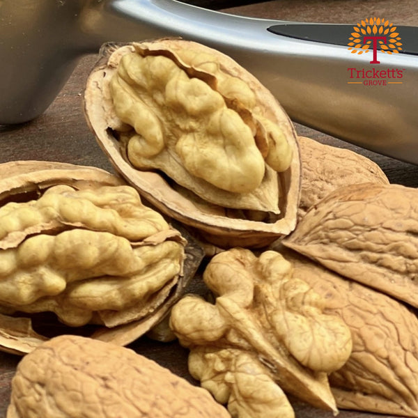 Trickett's Grove Walnut Pieces 100 grams
