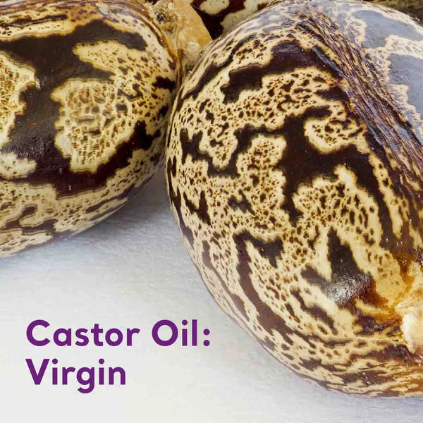 Absolute Essential Oil Castor Oil: Virgin 50ml Certified Organic