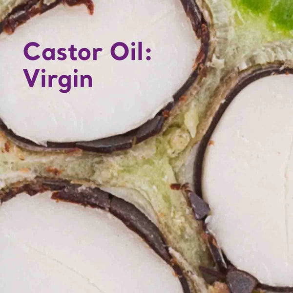 Absolute Essential Oil Castor Oil: Virgin 50ml Certified Organic