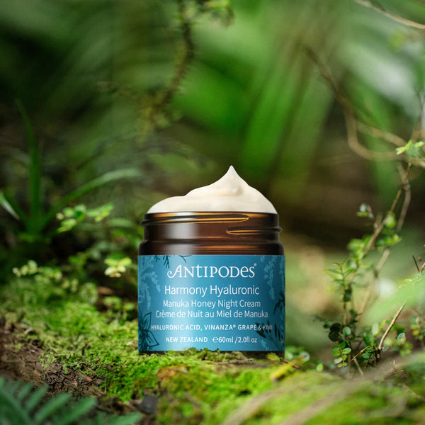 Antipodes Harmony Hyaluronic Manuka Honey Night Cream 60ml