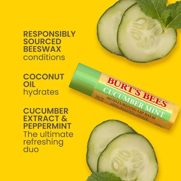 Burt's Bees Lip Balm Cucumber Mint Lip Balm