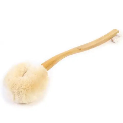 ECOMAX Wet & Dry Body Brush with handle