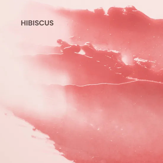 Burt's Bees Tinted Lip Balm Hibiscus