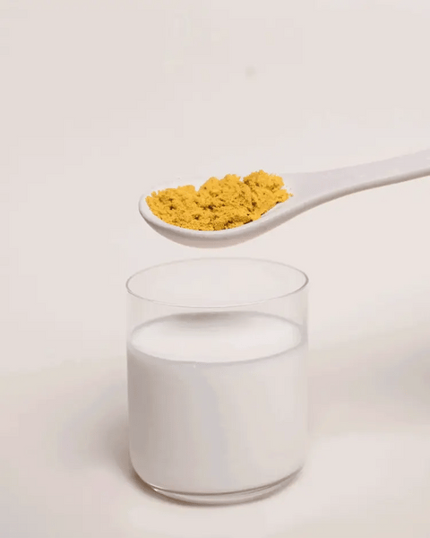 Nutra Organics Latte Golden Latte 100gm