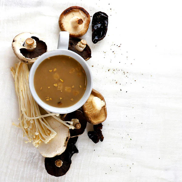 Plantasy The Good Soup Wild Mushroom 25gm