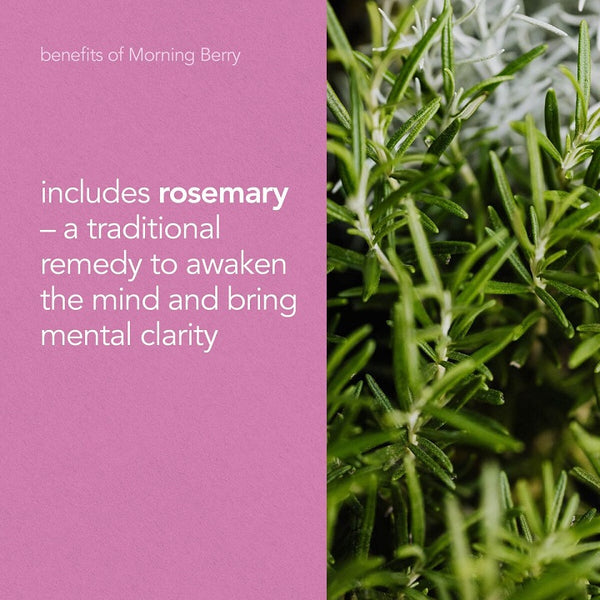 Pukka Tea Morning Berry Tea 20tbags