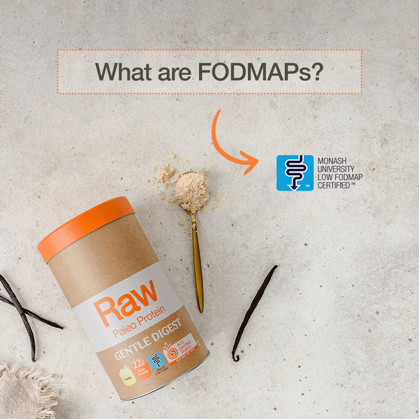 Amazonia Raw Gentle Digest Protein Vanilla 500gm