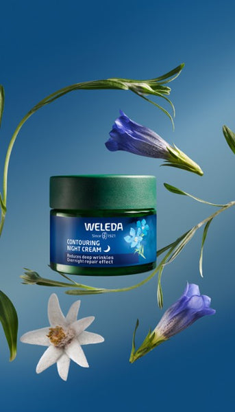 Weleda Contouring Night Cream - Blue Gentian & Edelweiss 40ml