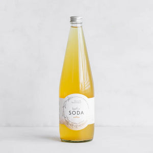 the wild fermentary Kefir Soda – Coffee 750ml