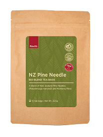 Pine Needle Tea N.Z.