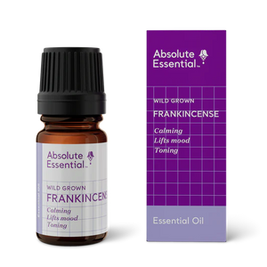 Absolute Essential Oil Frankincense