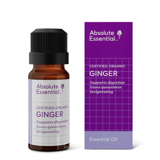 Absolute Essential Oil Ginger