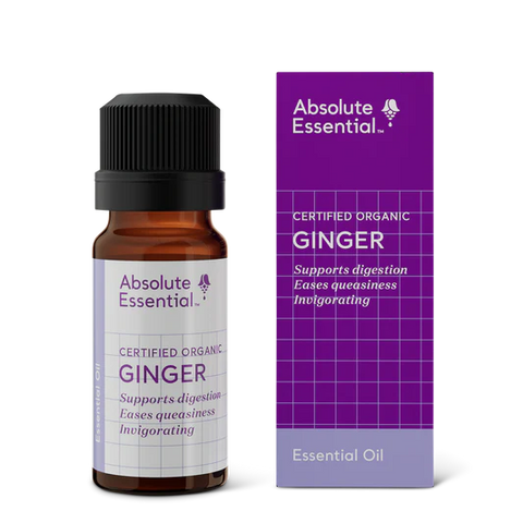 Absolute Essential Oil Ginger