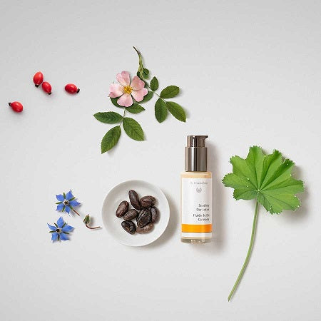 Dr. Hauschka Soothing Day Lotion.