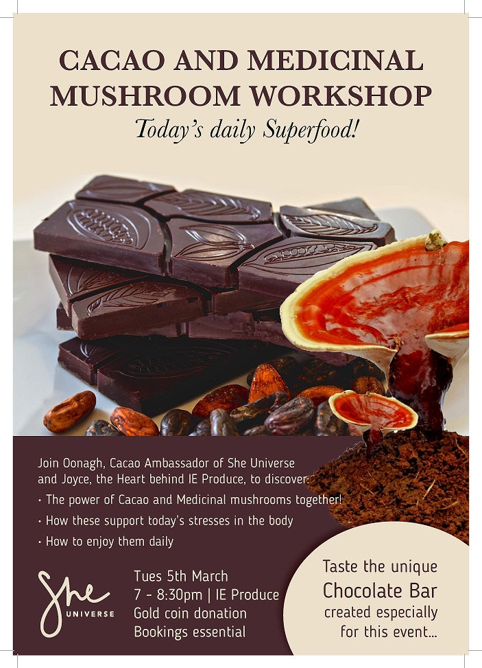 Cacao and Medicinal Mushroom Workshop