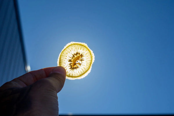 Little Beauties Chewy Gold Kiwifruit Slices 50gm