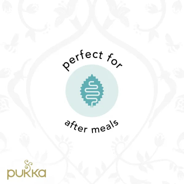 Pukka Tea After Dinner 20tbags