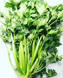 Vegetables – Celery