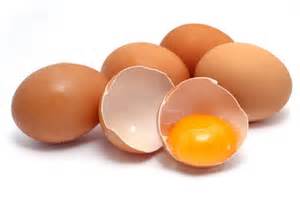 Vegetables – Pasture Poultry Organic Free Range Eggs 1 Dozen