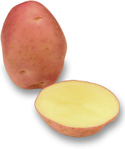 Vegetables - Potatoes Red Rascal
