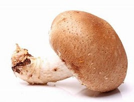 Vegetables – Shiitake Mushrooms NZ Grown