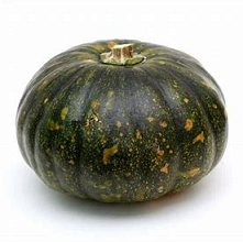 Vegetables - Super Market Squash